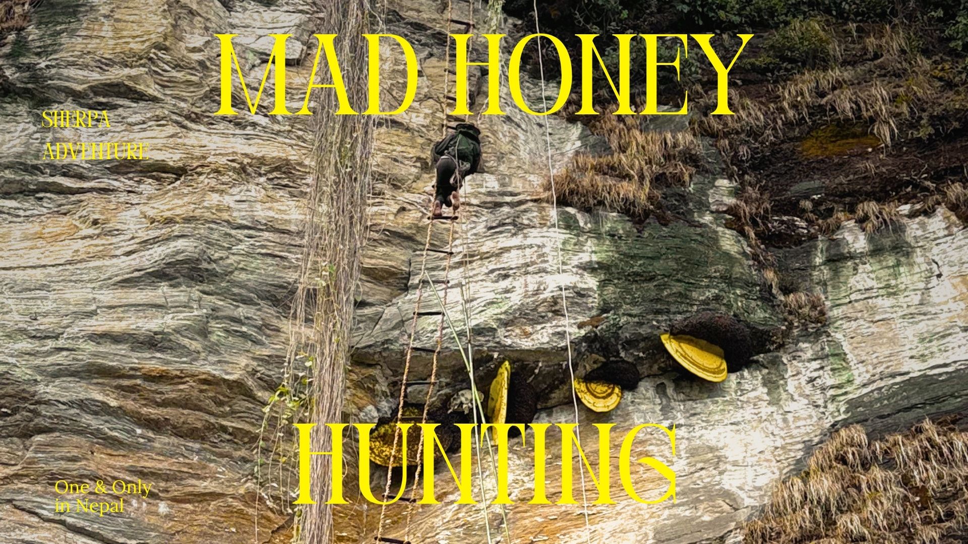 Mad Honey Hunting in the Annapurna Region: Nepal's Wild Cliff Adventure